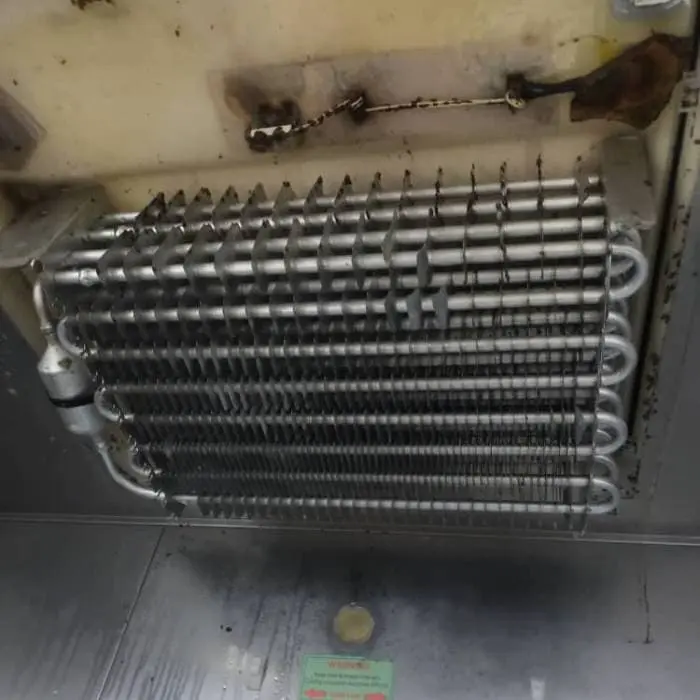 Emergency freezer repair service
